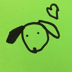 meet your posher, POISSON!